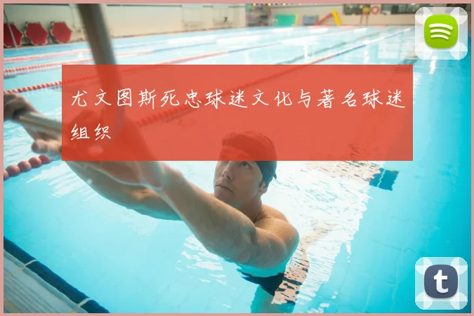 尤文图斯死忠球迷文化与著名球迷组织