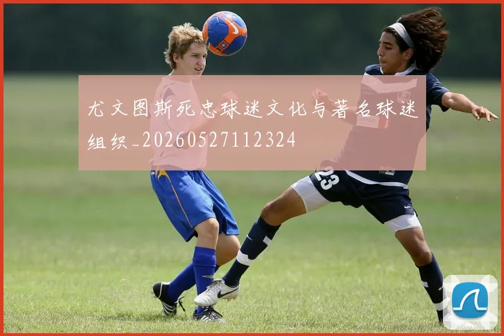 尤文图斯死忠球迷文化与著名球迷组织_20260527112324