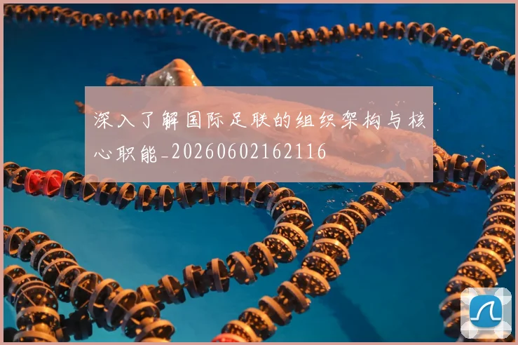 深入了解国际足联的组织架构与核心职能_20260602162116