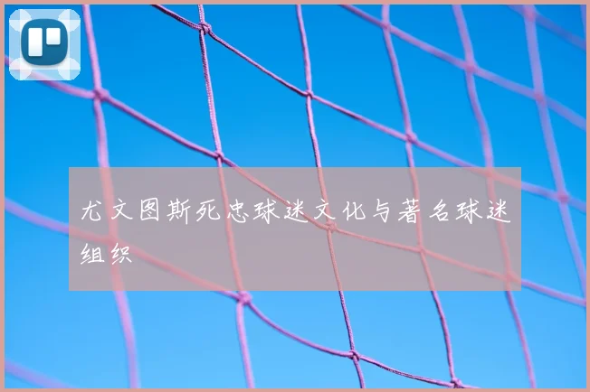 尤文图斯死忠球迷文化与著名球迷组织